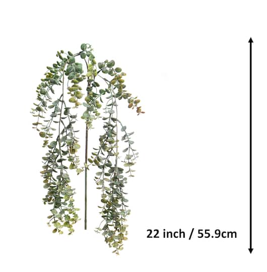 22" Green Hanging Eucalyptus by Ashland®